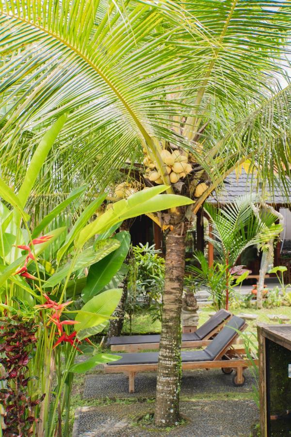 Mancur Guesthouse Ubud Exterior foto