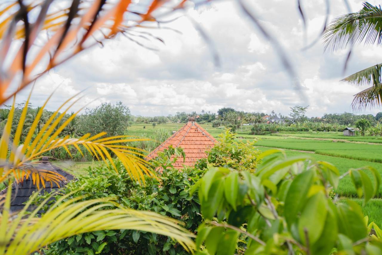 Mancur Guesthouse Ubud Exterior foto