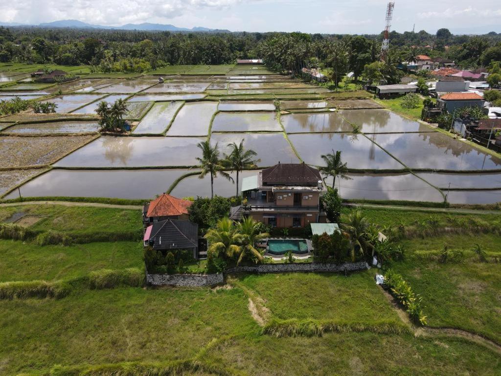 Mancur Guesthouse Ubud Exterior foto