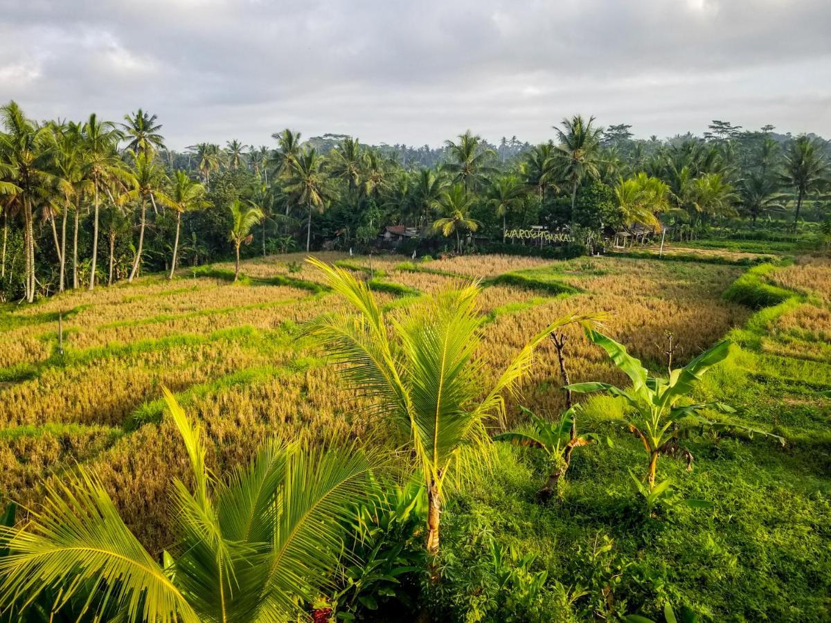 Mancur Guesthouse Ubud Exterior foto